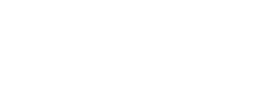 The Artisan Forest  // Logo