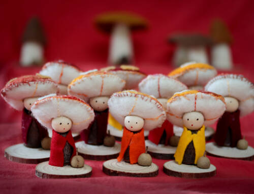 Autumn Mushroom Peg Doll (Kindy) 03